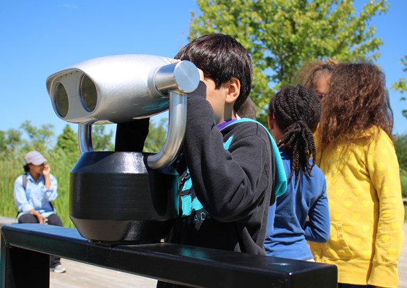 Group of children looking out into the forest preserve through large binoculars 