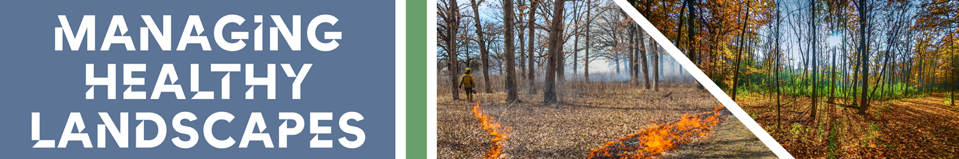 Before and After Controlled Burn, resulting in a healthy landscape.
