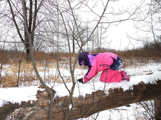 GBGirlClimbingOnSnowyTree