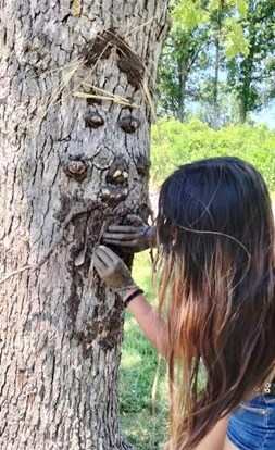 Making_Mud_Art_on_Tree