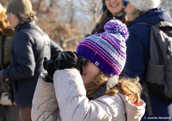 Young bird watcher looking into the sky through binoculars.