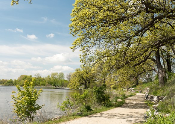 Walking down a tree covered trail along the banks of the Fox River.