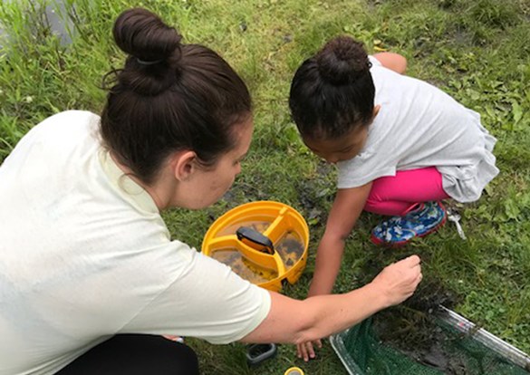 Instructor and child looking through a bucket of pond water for critters