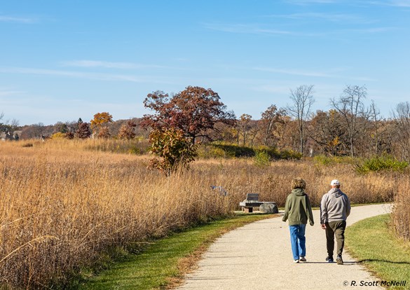 A couple walking a gravel trail through a thick brown and green field.