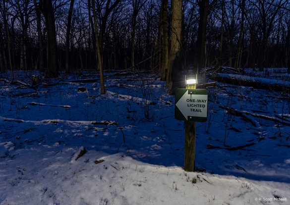 Photo of the snow covered solar-lit trails at night time