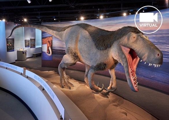 Life size dinosaur figure at the Dunn Museum
