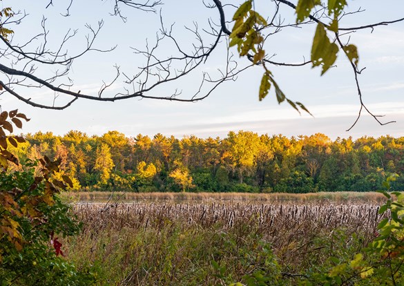 Beautiful fall colors at McDonald Woods