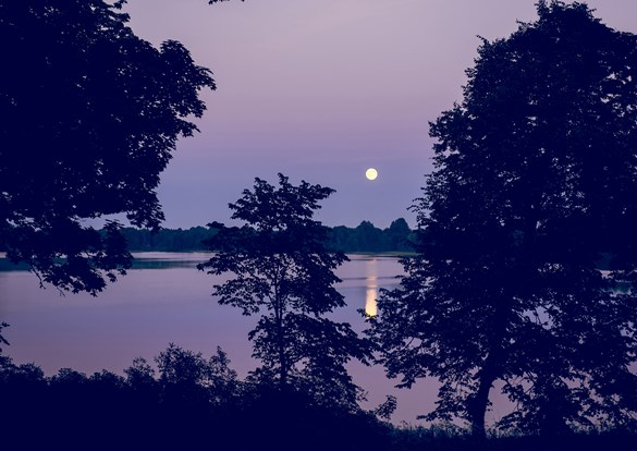 Photogragh of the moon setting over a lake and trees