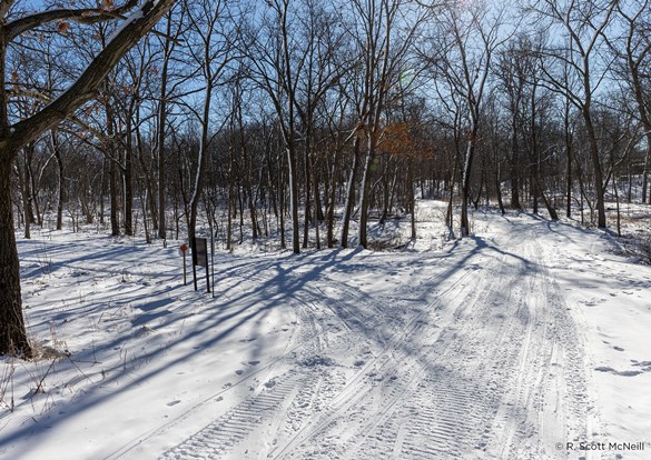 Beautiful photo of walking trails covered in fresh snow