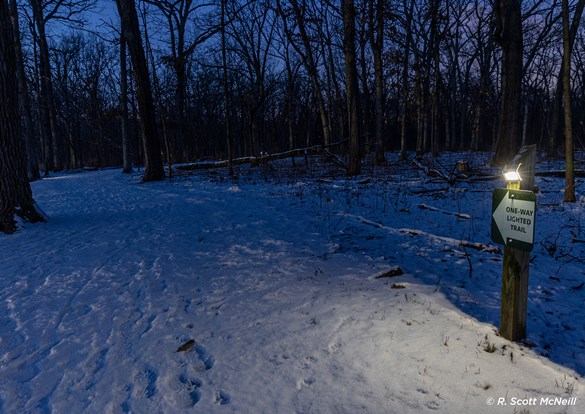 Dark blue skies setting over a snow covered solar-lit trail.