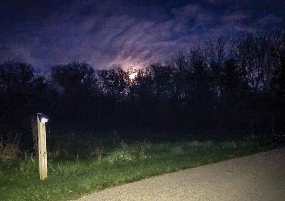 Bright moon overhead during a nighttime walk down a solar-lit trail