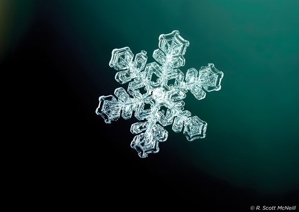 Closeup of white snowflake against blue green background