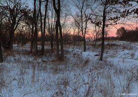 Sun setting in the sky over a snow covered field