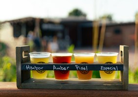 Photo of local brewed craft beers on display at IG Beer Garden