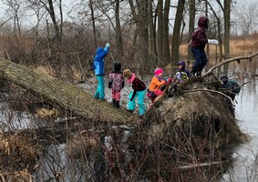 Group of children exploring a log near a pond