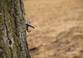 Maple syrup dripping from a tap