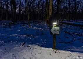 Photo of the snow covered solar-lit trails at night time