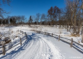 Beautiful sunny blue skies over a bright white snow covered walking trail.