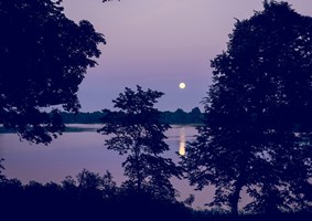 Photogragh of the moon setting over a lake and trees