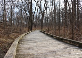 Walking across a wooden bridge through the woods