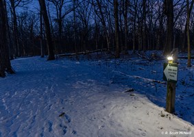 Dark blue skies setting over a snow covered solar-lit trail.