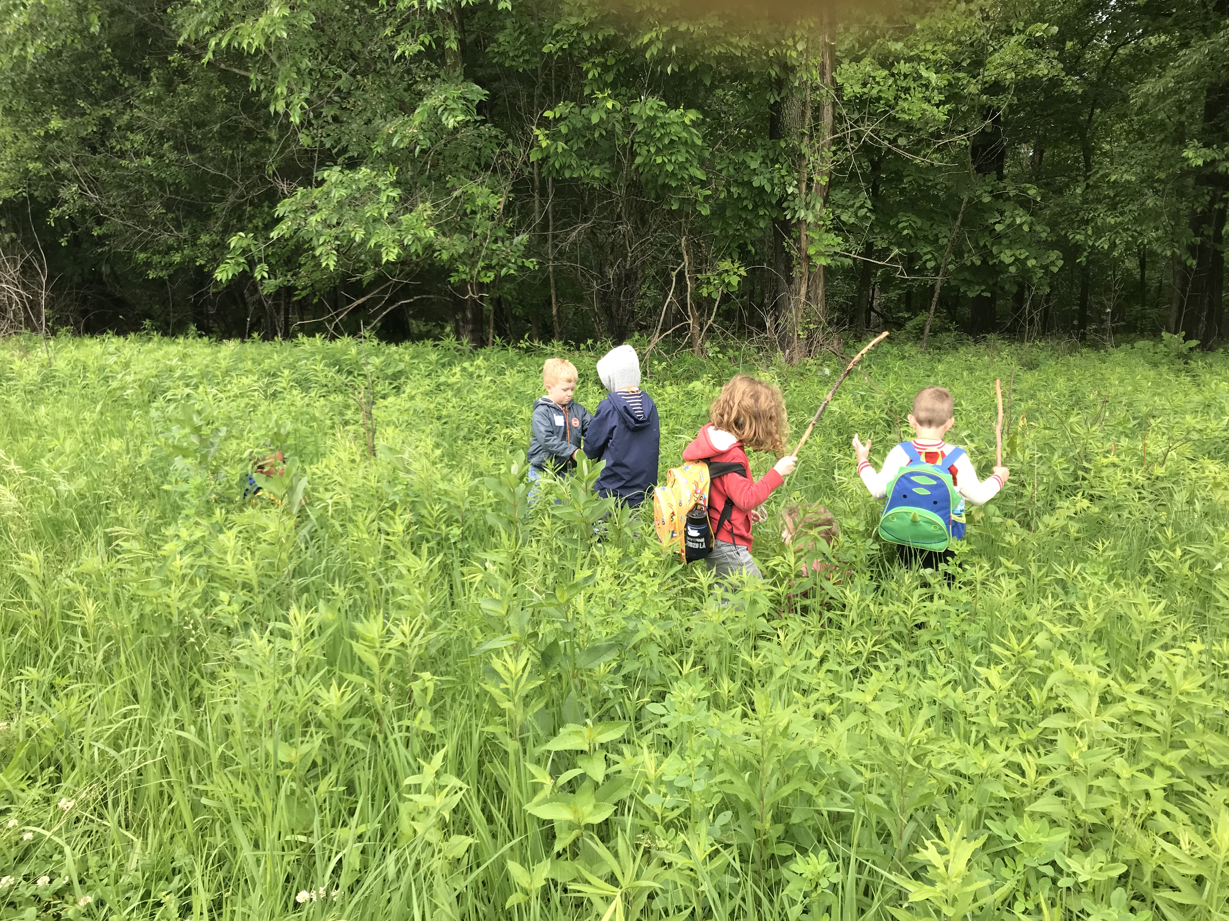 Preserves Facilities Recreation Conservation Lake County Forest Preserves