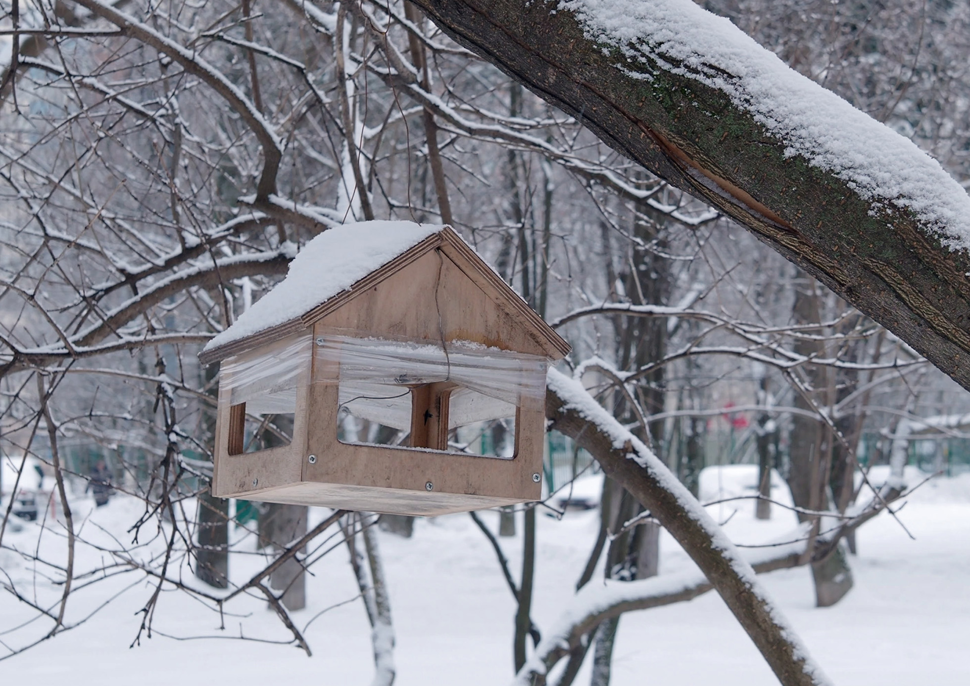 Large birdhouse hanging from a snow covered branch