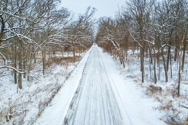 Jeff Goldberg Winter Photo