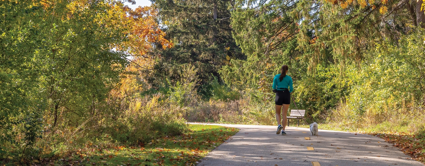 Woman walking her dog on the path surrounded by fall colored trees