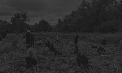 Large group of volunteers cleaning a river bed.