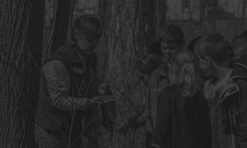 Volunteer showing a group of children a snake in the woods.