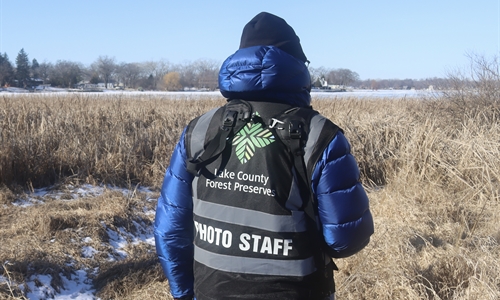 Volunteer photographer on an assignment in the forest preserve.