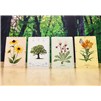 Photograph&#32;of&#32;all&#32;4&#32;Native&#32;Plant&#32;Notecards