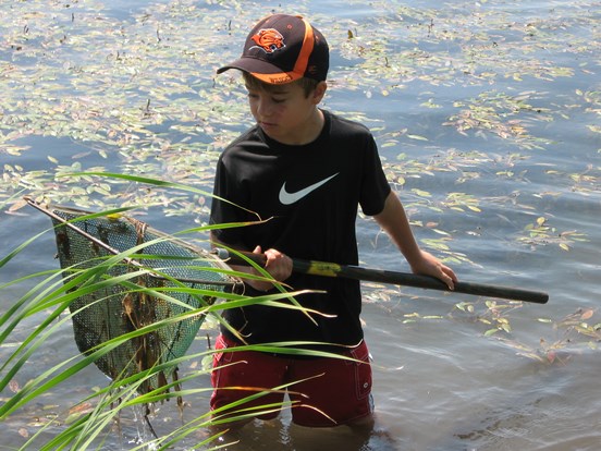 Boy standing in a pond with a net looking for wildlife