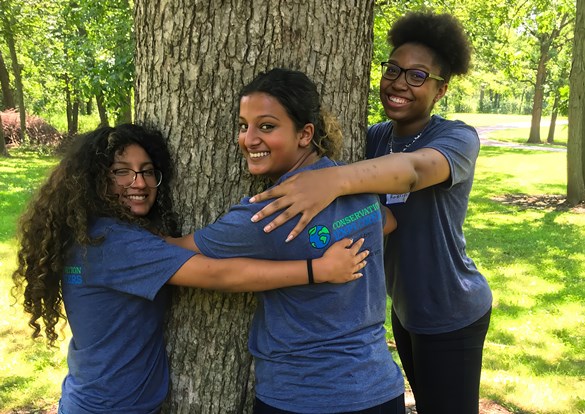 Three young girls hugging the trunk of a large tree.