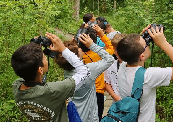 Group of young children, all with binoculars looking at birds in the forest preserve.