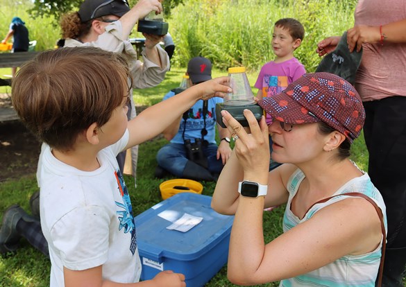 Instructors with small children, looking at bugs in glass jars.