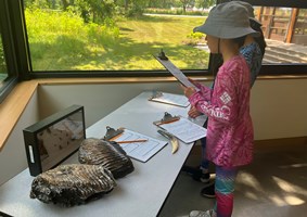 Several small children looking at some large fossils on display.