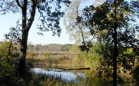 Fourth Lake - Your Preserves | Lake County Forest Preserves