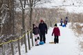 Group of sledding walking back up the sled hill