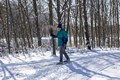 a man cross country skiing through the woods on a bright sunny day