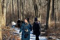 Volunteer photographers walking through the woods taking photos.