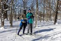 A couple cross-country skiing through the woods