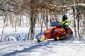 Bright red snowmobile racing thru the woods