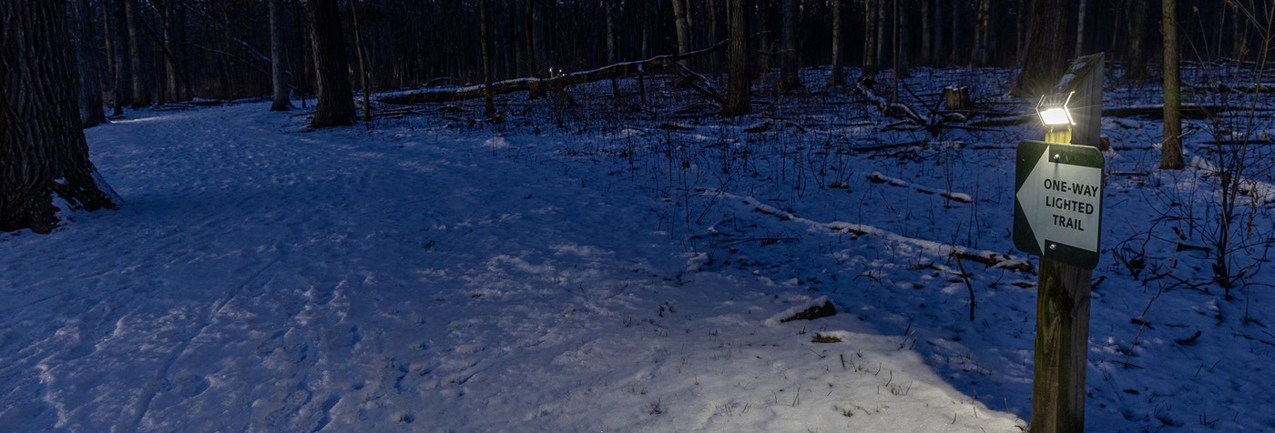 Snow covered solar-lit trail at night