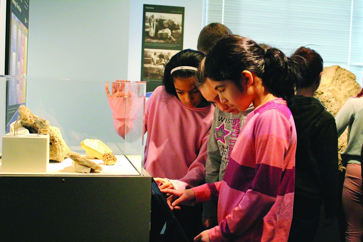 Group of students studying fossil casts