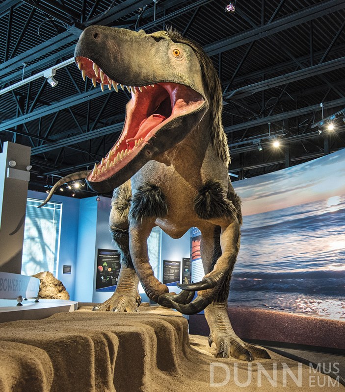 Dinosaur replica at the Dunn Museum