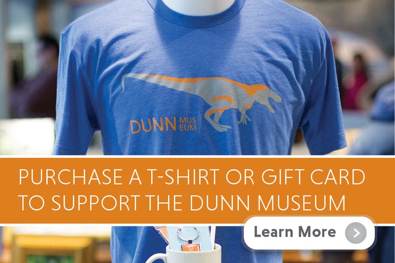 Dunn Museum | Lake County Forest Preserves