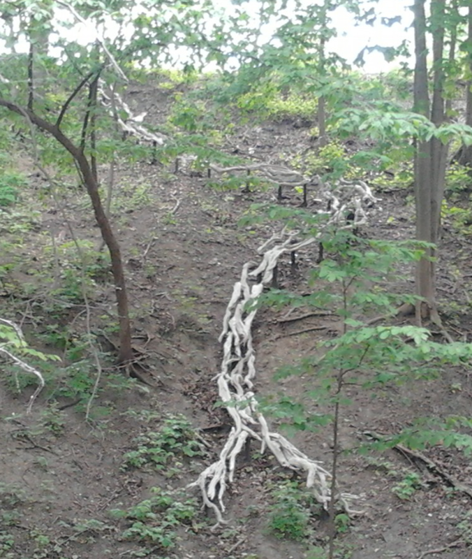 Driftwood affixed to steel elevation posts (3 feet high)