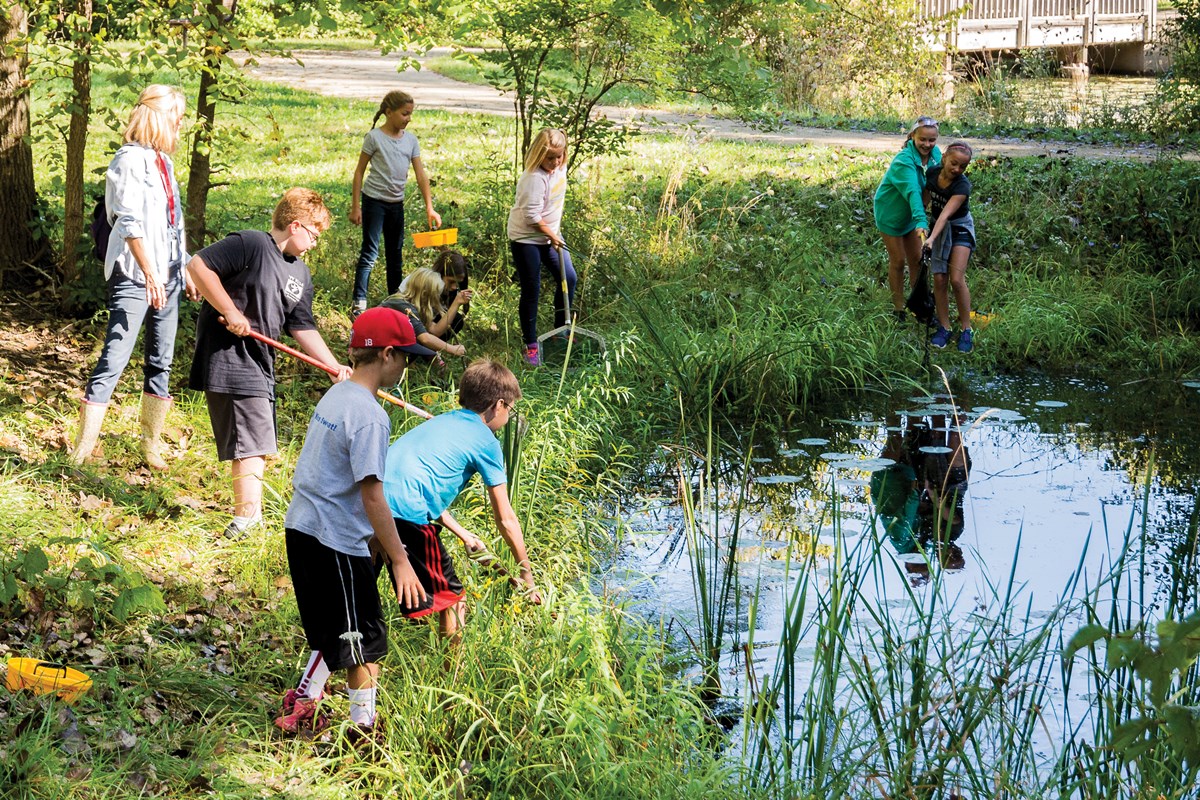 Instructor working with children to catch wildlife in a pond with nets